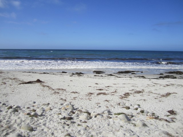 IMG_1225.JPG